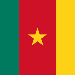 Cameroon Flag Icon