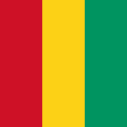 guinea Flag Icon