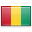 guinea flag icon