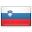 Slovenia flag icon