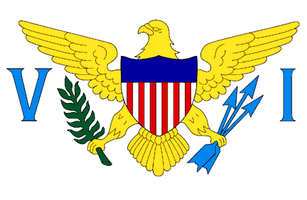 Virgin Islands US Flag Icon